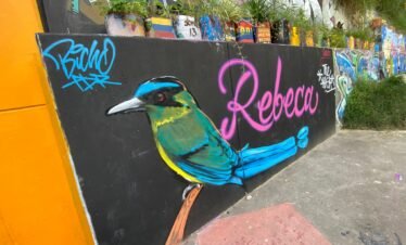 COMUNA 13 WINGMAN